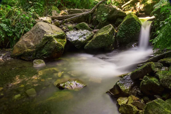 Asterias Spanya Ormanlarında Çağlayan — Stok fotoğraf