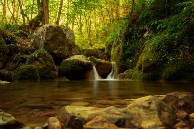 Asterias İspanya ormanlarında çağlayan