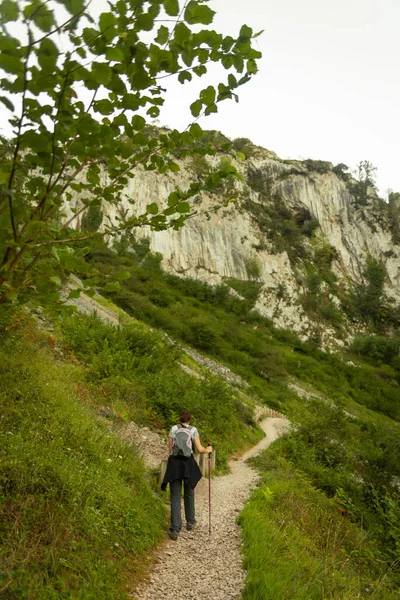 Jeune Femme Randonnée Dans Forêt Montagne — Photo