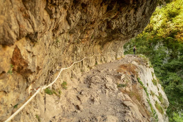 Dağ ormanlarında yürüyüş yapan genç bir kadın.
