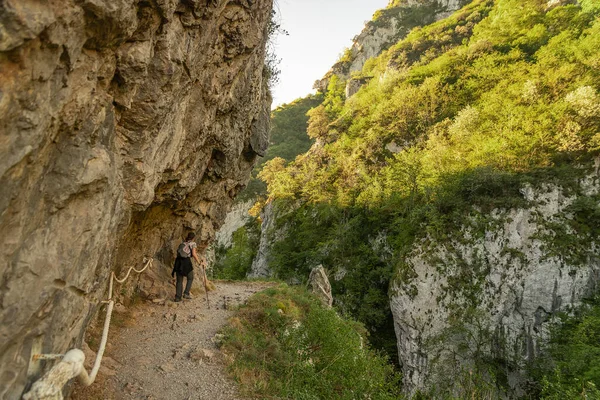 Dağ ormanlarında yürüyüş yapan genç bir kadın.