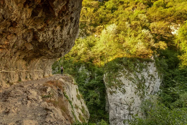 Dağ ormanlarında yürüyüş yapan genç bir kadın.