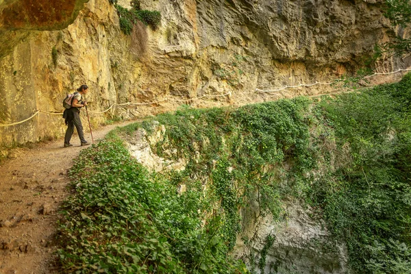 Dağ ormanlarında yürüyüş yapan genç bir kadın.