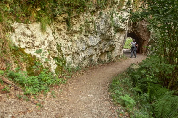 Dağ ormanlarında yürüyüş yapan genç bir kadın.