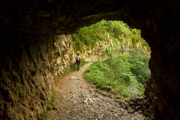 Dağ ormanlarında yürüyüş yapan genç bir kadın.