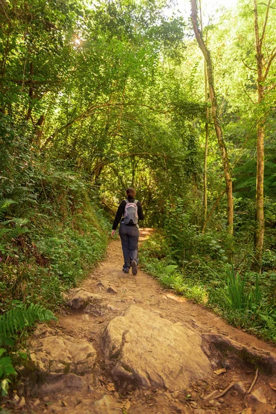 Dağ ormanlarında yürüyüş yapan genç bir kadın.