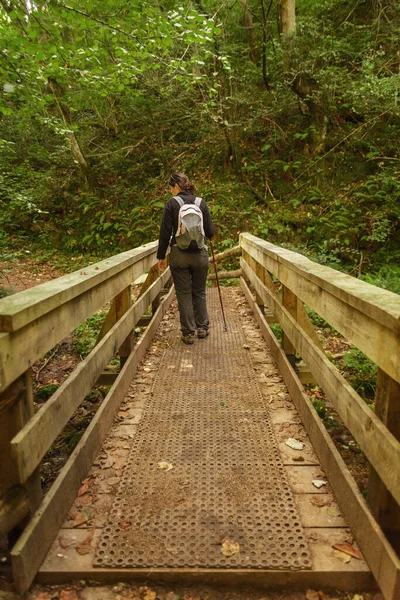 Dağ ormanlarında yürüyüş yapan genç bir kadın.