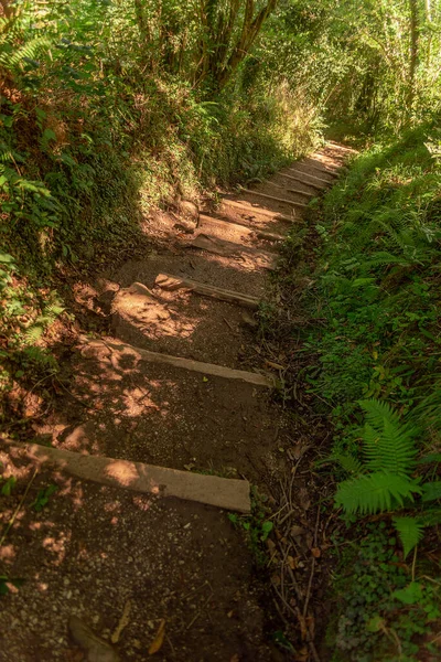 İspanya 'daki asturias Dağları manzarası