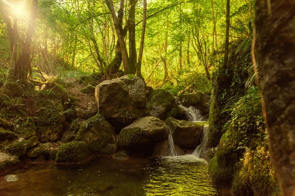 Kaskada Lesie Hiszpańskim Asturii Zdjęcia Stockowe bez tantiem