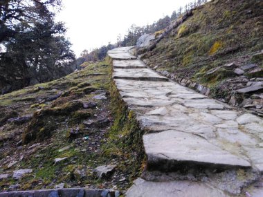 Yukarı doğru eski taştan bir yol. Yaklaş. Görünüm uttrakhand kullanılabilir