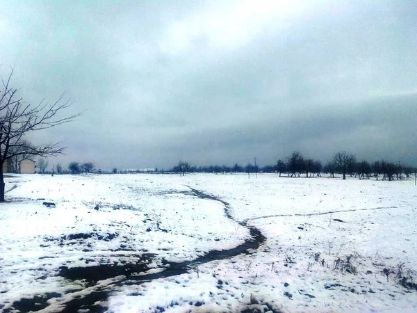 Uzun Bir Kar Tarlası Manzarası — Stok fotoğraf