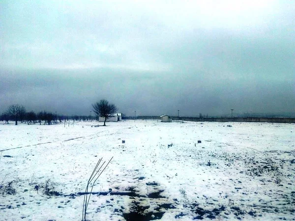 Uma Paisagem Neve Longa Bonita — Fotografia de Stock