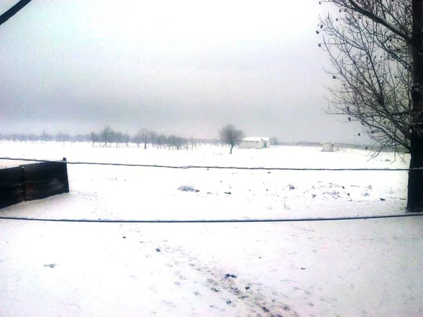 Uma Paisagem Campos Neve Campo Branco Puro Com Inverno Gelado — Fotografia de Stock