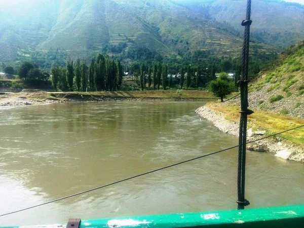 Une Rivière Jhelum Fermer Côté Verdure — Photo