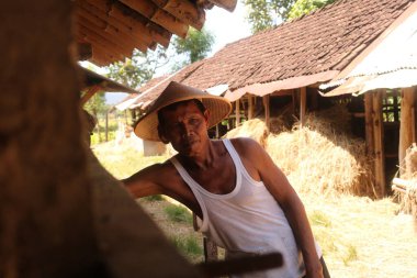 19 Ocak 2020, Bantul, Endonezya: bir adam gün boyunca ot arıyor.