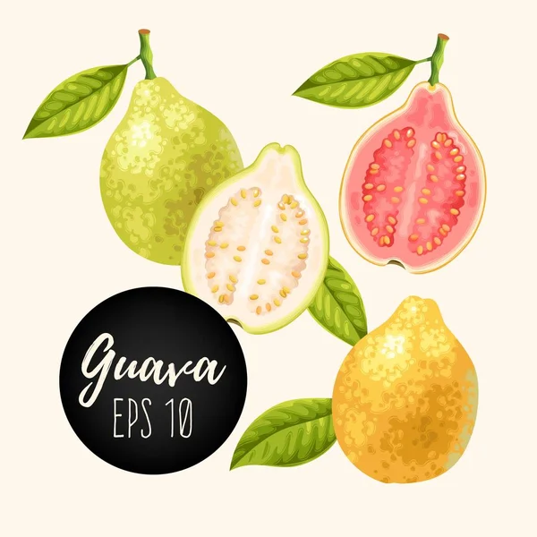 Guava meyve kümesi — Stok Vektör