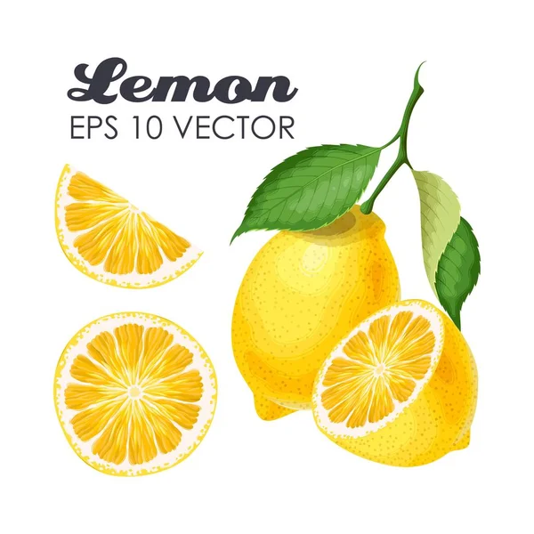 Samling av citroner — Stock vektor