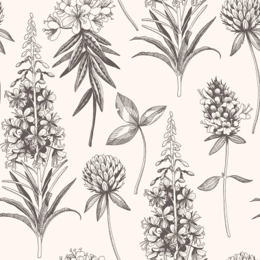 Vektör el çekilmiş çayır çiçek seamless modeli