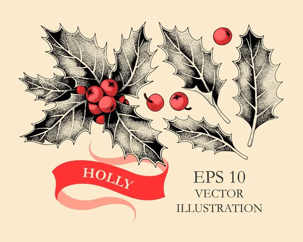 Vector uppsättning holly blad och bär — Stock vektor