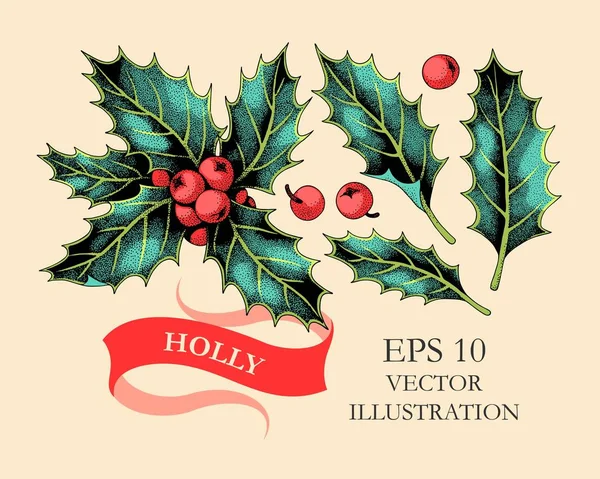 Vector uppsättning holly blad och bär — Stock vektor