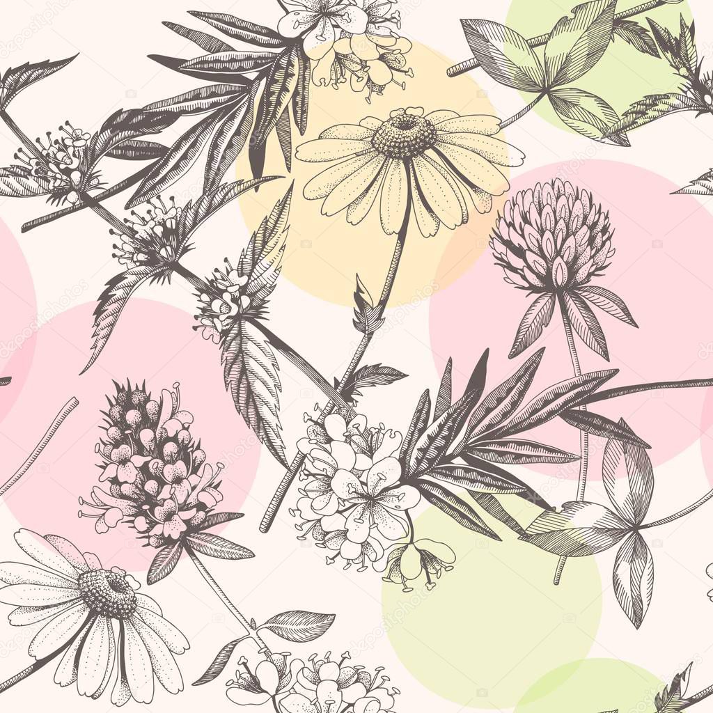 Vector hand drawn meadow flowers seamless pattern on biege background