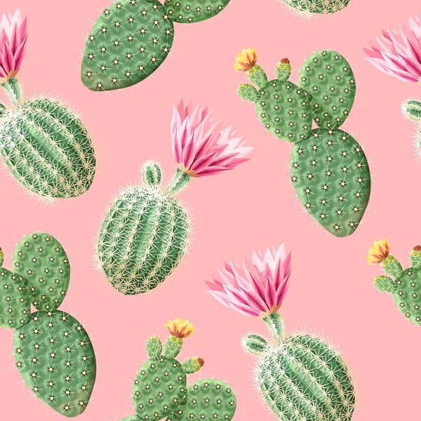 Cactus met roze bloemen op de lichte achtergrond — Stockvector