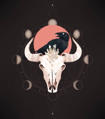 Bir boğanın kafatası geometrik figürlere yerleştirilir.