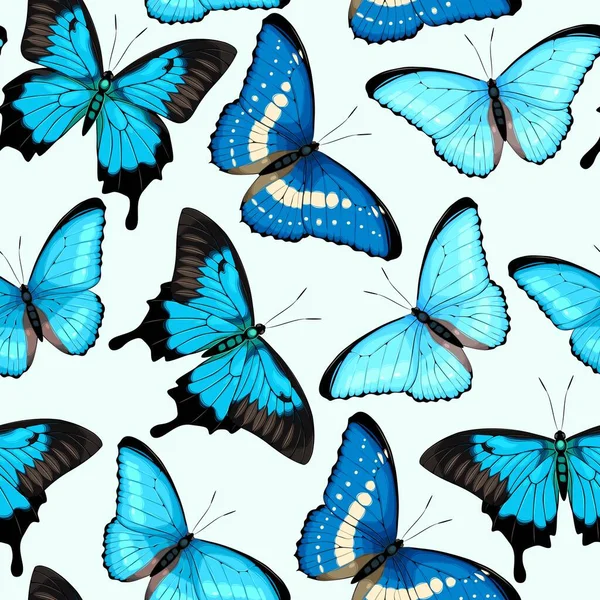 Modèle vectoriel avec papillon vif détaillé élevé — Image vectorielle