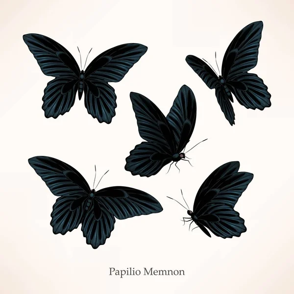 Vector set of black butterflies in five views — Stock Vector