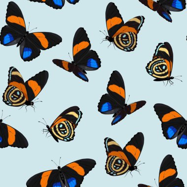 Yüksek detaylı canlı kelebekli vektör deseni
