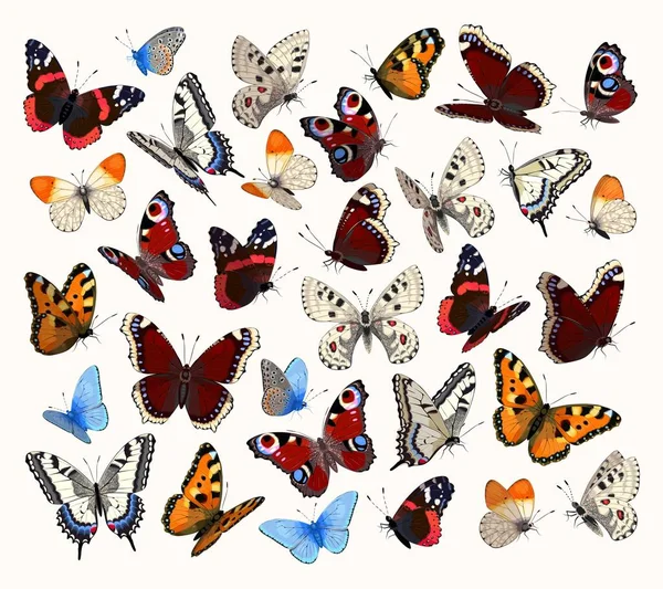Big vector set of high detailed butterflies — Stock Vector