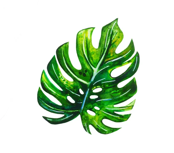 Monstera Blad Kleur Element Aquarel — Stockfoto