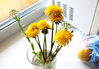 Bardakta yaz çiçekleri