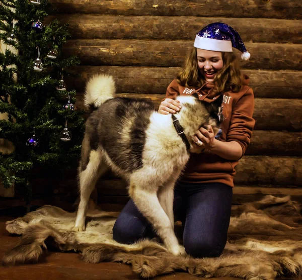 Menina Brincando Com Cão Chão — Fotografia de Stock