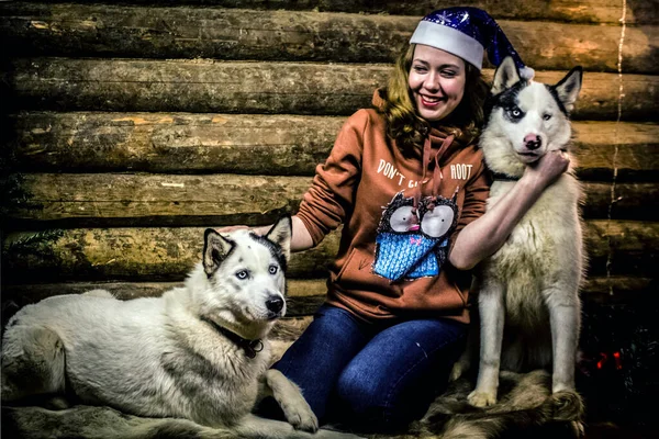 Uma Menina Dois Cães Husky Sentam Lado Uma Árvore Natal Imagens De Bancos De Imagens
