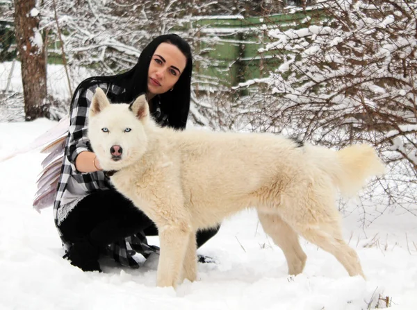 Menina Com Cão Branco Husky — Fotografia de Stock