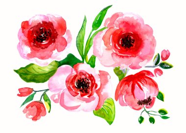 Elle çizilmiş pembe çiçekler. Peonie 'li suluboya kompozisyon. Beyaz arka planda suluboya güller.