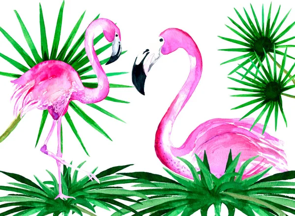 Akvarelová Ruka Vyrobila Dva Růžové Plameňáky Tropickými Listy — Stock fotografie