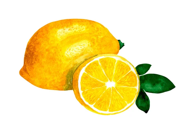 Akvarel žlutý citron vcelku a krájený izolovaný na bílém — Stock fotografie