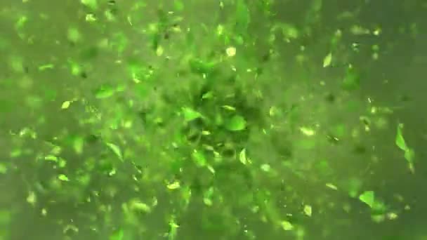Exploderande Grönt Blad — Stockvideo