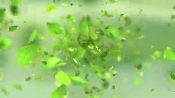 Έκρηξη Πράσινο Τσάι Φύλλα Ανάλυση — Αρχείο Βίντεο