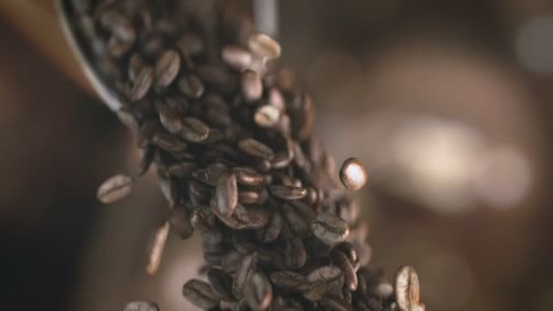 Fallande Kaffebönor Super Slow Motion — Stockvideo