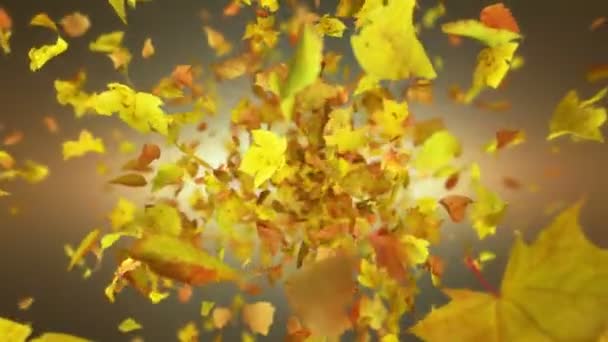 Exploding Autumn Leafs Background — Stock Video