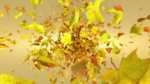 Explosion Fond Des Feuilles Automne — Video