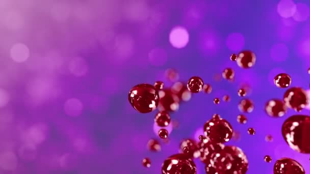 Пузырьки Крови Растут Замедленной Съемке — стоковое видео