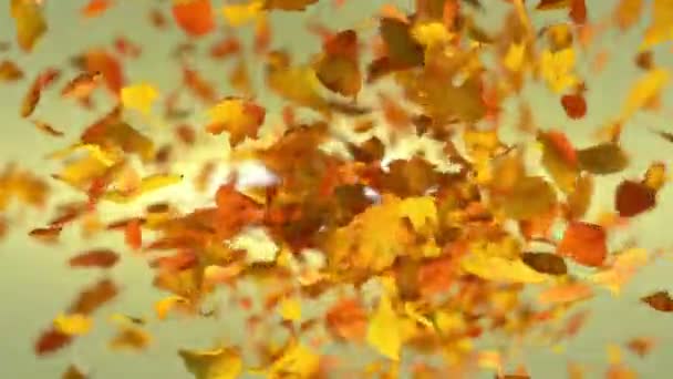 Explodující Pozadí Podzimní Listové Barvy — Stock video