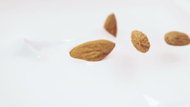 Almonds Nuts Splash Liquid Cream Super Slow Motion — 비디오