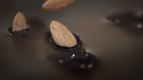 Amandes Noix Tombant Dans Chocolat Liquide Super Slow Motion — Video