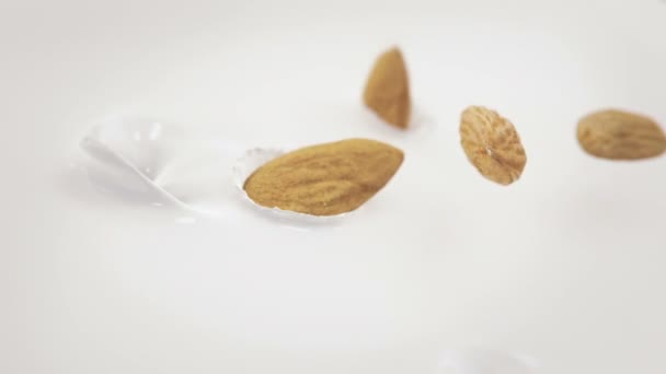 Amandes Noix Tombant Dans Lait Super Slow Motion — Video