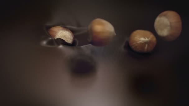 Hazelnuts Splashing Liquid Dark Chocolate Super Slow Motion — Stock Video